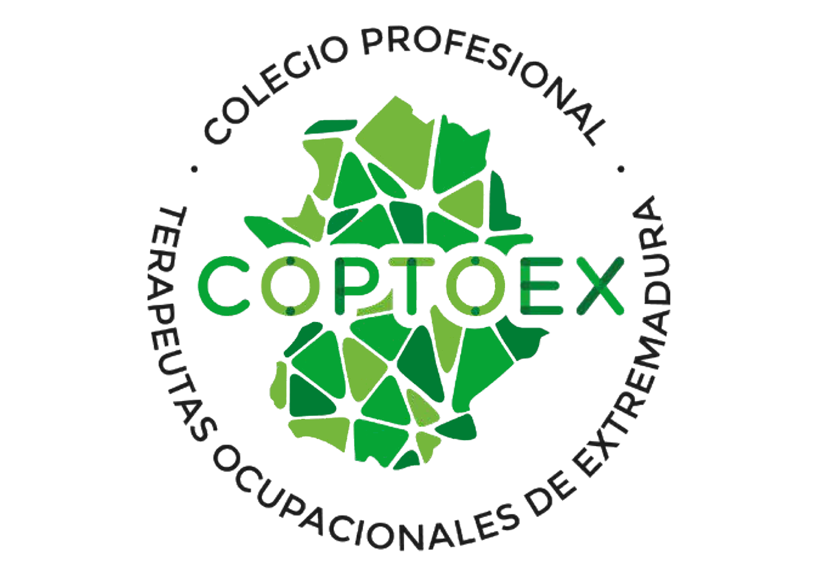 004 coptoex